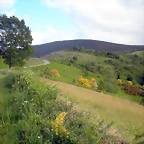 DSCN4299