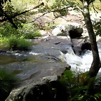 DSCN2826