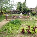 DSCN3338