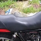 asiento lm