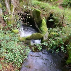DSCN5759