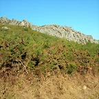 DSCN7944