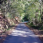 DSCN7938