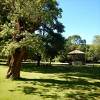 DSCN2136