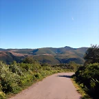 DSCN0087