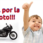 Transalp cartel 01
