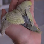 P1210010