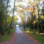 DSCN9912