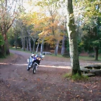 DSCN9913