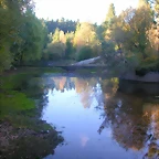 DSCN9923
