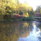 DSCN9929
