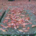 DSCN9922