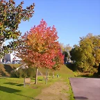 DSCN9901
