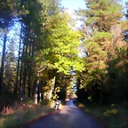 DSCN9909