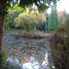 DSCN9915