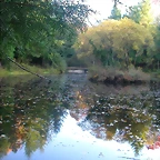 DSCN9916