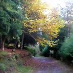 DSCN9917