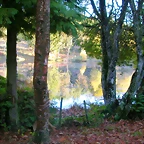 DSCN9931