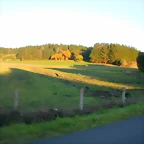 DSCN9951