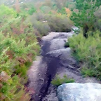 DSCN9962