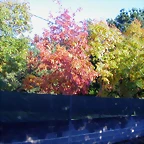 DSCN9907