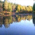DSCN9933