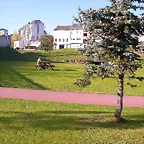 DSCN9903