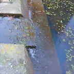 DSCN9927