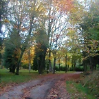 DSCN9935
