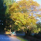 DSCN9950