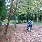 DSCN9934