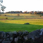 DSCN9954