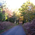 DSCN9910