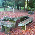 DSCN9921