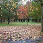 DSCN2564
