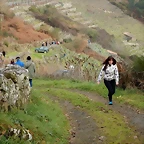 DSCN1239