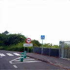 DSCN5254