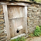 DSCN4253