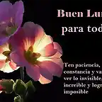 Buen lunes