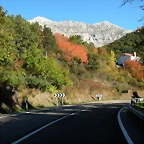 DSCN0821
