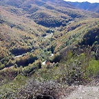 DSCN0920