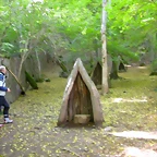 DSCN0960