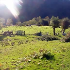 DSCN1289