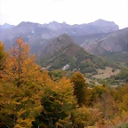 DSCN1485