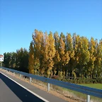 DSCN0780