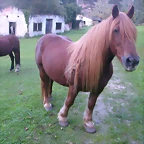 DSCN1306
