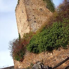 DSCN1130