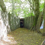 DSCN0961