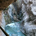 DSCN0995