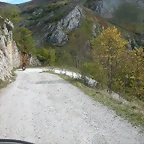 DSCN1210